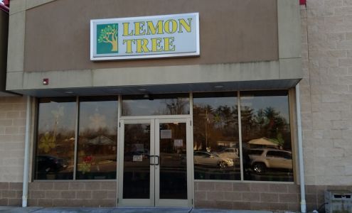 Lemon Tree Flowers & Things