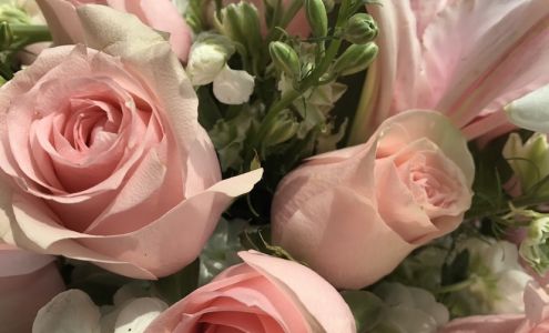 One Fifty Gift & Flower Shop