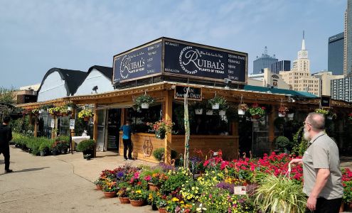 Ruibal's Plants of Texas