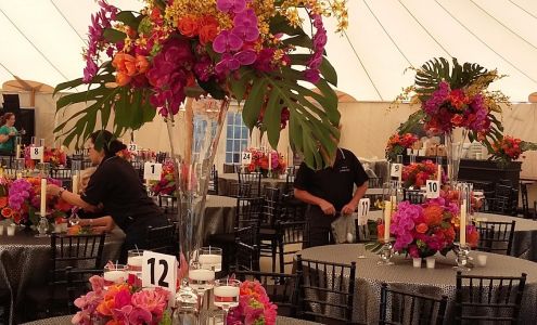 David Kurio Designs Inc.