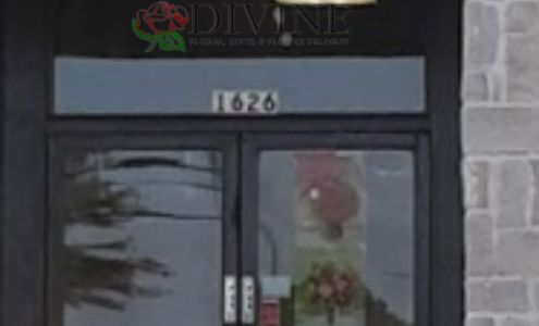 Divine Floral & Gifts