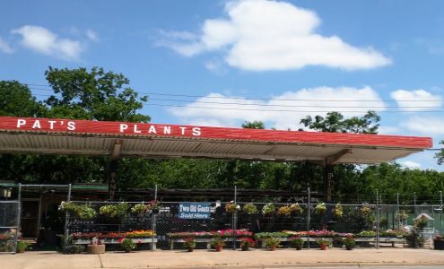 Pat's Plants