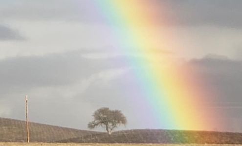 Distinctive Glassware Branding