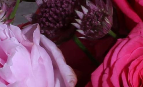 Creative Florals of Charleston