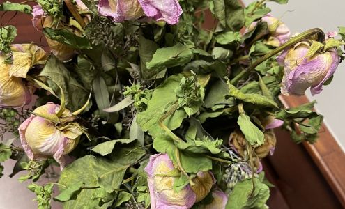 Greenville Flowers and Plants