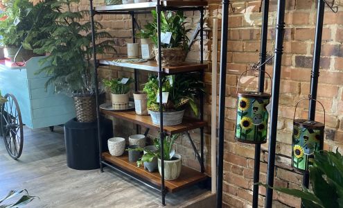 Longleaf Flowers Plants & Gifts