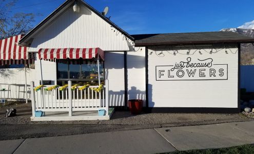 Just Because Florist