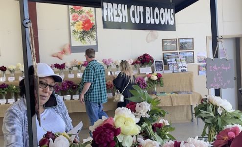Adelman Peony Gardens