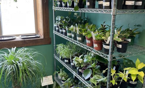 Moonfire & Sun Garden Center