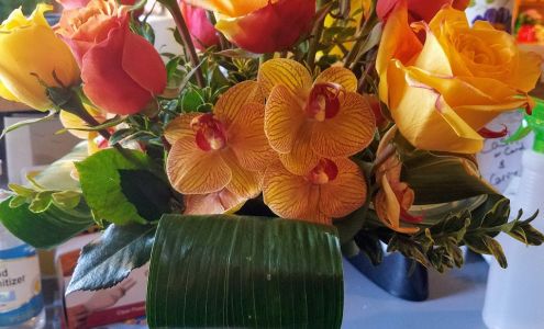 Susie's Medford Flower Shop
