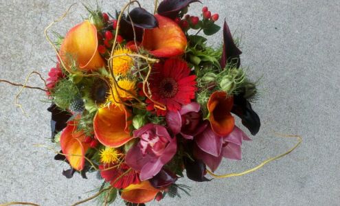 Stargazer Premier Florist