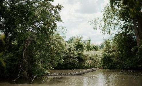 Lancaster Farms | Wholesale Plant Nursery - Not Open To The Public