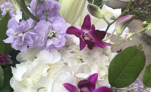 Flowers By Dreama Dawn