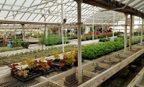 Riverside By Reynebeau Floral