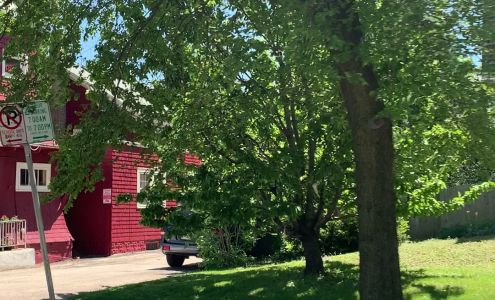 Tulipomania European Flower Market