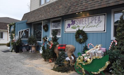 Sweet Pea Floral