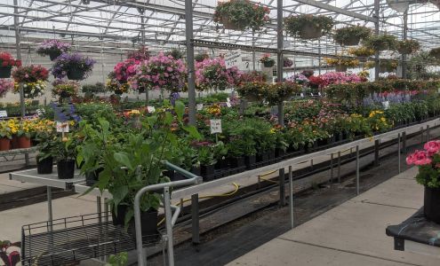 Orchids Garden Center & Nursery