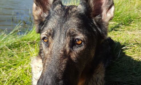 Healdsburg Center For the Arts