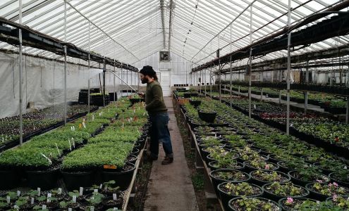 Schulte's Greenhouses