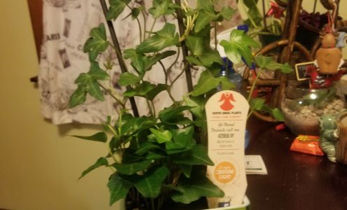 Hoffman's Flowerland