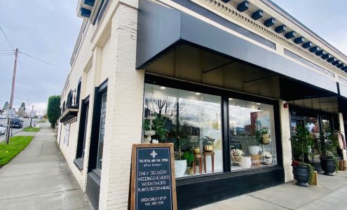 The Petal and The Stem