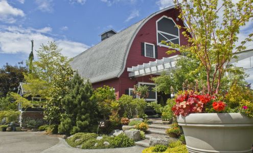 McAuliffe's Valley Nursery