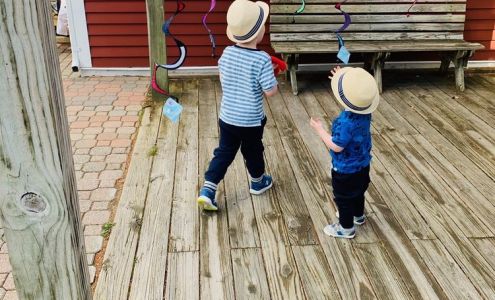 Penguins Otters & Others