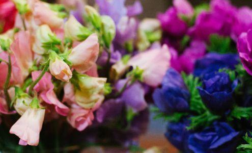 Seattle Wholesale Growers Market Cooperative