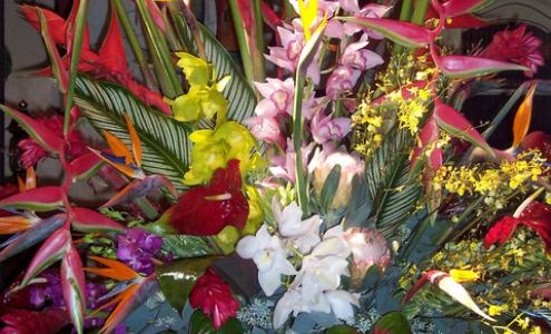 Darling's Flowers, Inc. dba Darling's Holm & Olson Florist