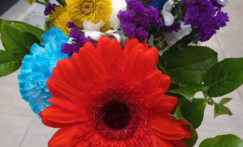 Flowers of Point Loma