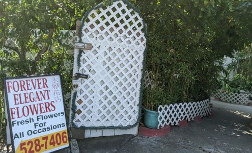 Forever Elegant Flowers