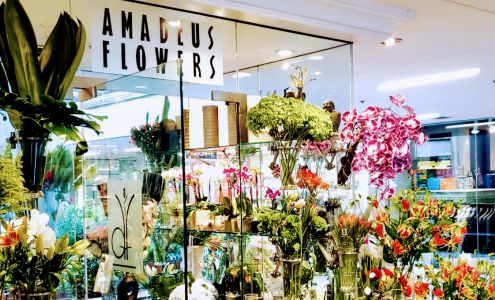 Amadeus Flowers