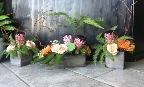 Wild Rose Floral & Gifts