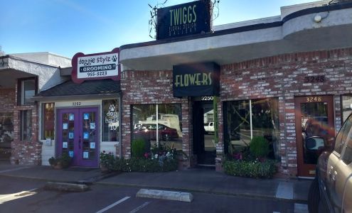 Twiggs Floral Design Gallery