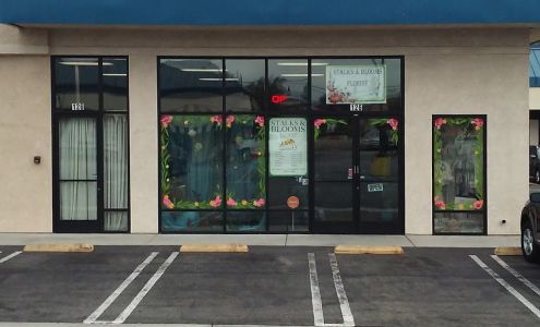 Stalks and Blooms Florist