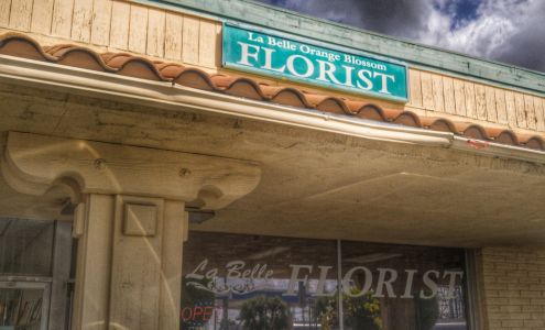 LaBelle Orange Blossom Florist