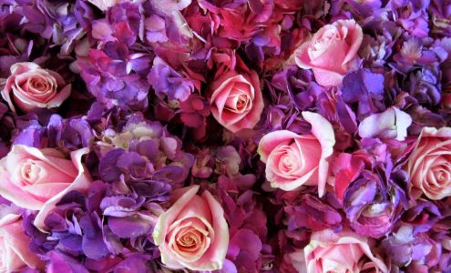 Kara Bala Flower Shop