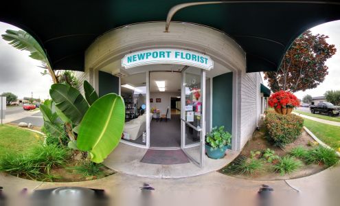 Newport Florist