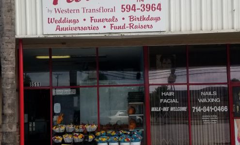 Fresh flowers By Western Transfloral