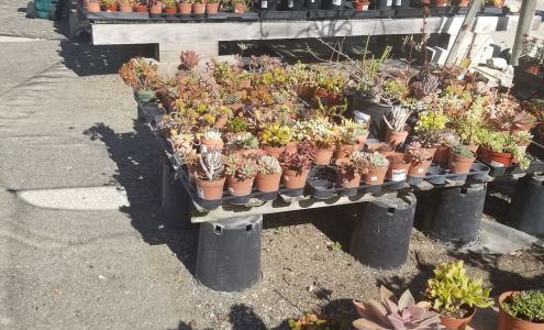 Garrison Foothill Nursery