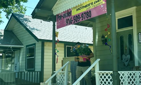 Flowers by Fairytales