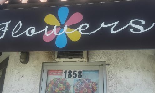 Colors Flowers and Gifts