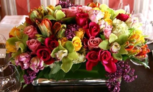 Rancho Palos Verdes Flowers