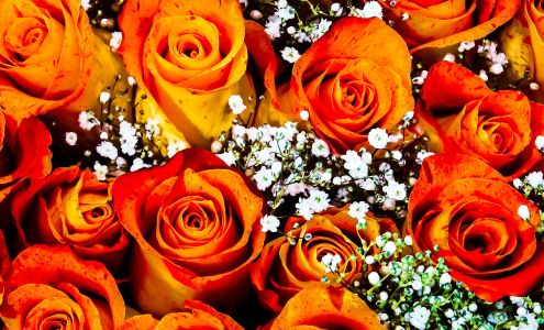 Pampered Lady Florist