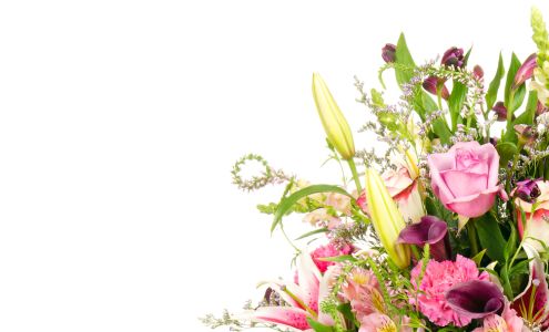 Walnut Creek Florist