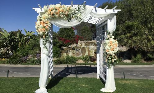 Flower Time in Downey