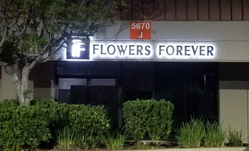 Flowers Forever