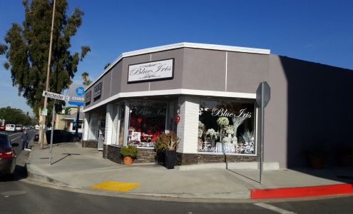 Blue Iris Florist