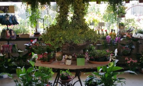 Green Fashion Florist