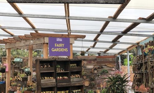 Kileen's Succulent Vertical Gardens